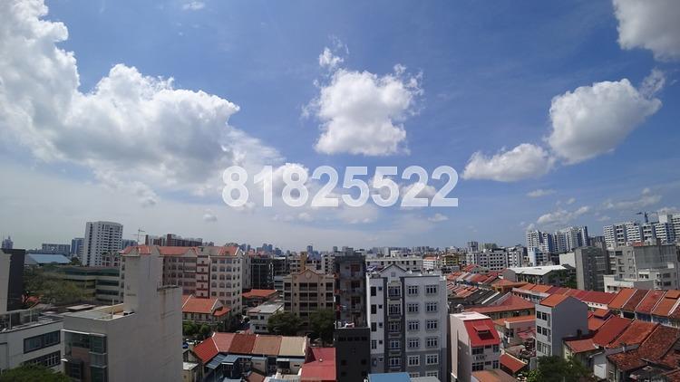 Evergreen View (D14), Apartment #162423732